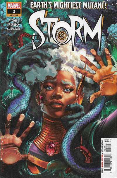 Storm Vol V #2 (January 2025)